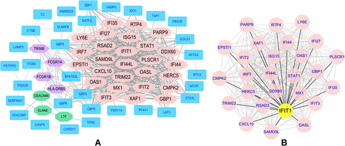 Figure 3 The protein-protein interaction network diagrams of differential genes and key genes were visualized by Cytoscape software. (A) A protein-protein interaction network composed of 66 nodes and 509 edges and 3 main gene clusters. (B) Hub gene related protein-protein interaction network diagram.