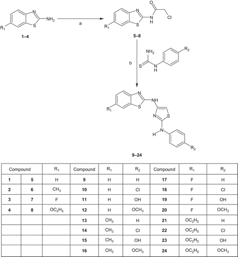 Scheme 1.  General scheme for the synthesis of compounds 9-24. Reagents and conditions: (a) dry benzene, ClCOCH2Cl, TEA, reflux, 3h, 80°C; (b) dry EtOH, RNHCSNH2, reflux, 10-12h.