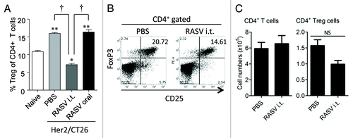 Figure 3. CD4+CD25+FoxP3+ regulatory T-cell levels decreased in tumor-bearing mice after i.t. injection of RASV. (A) The percentages of CD4+CD25+FoxP3+ Tregs among the CD4+ T cell population in splenocytes (n = 6 mice per group). **p < 0.01, ***p < 0.001 compared with naïve control mice. †p < 0.01, Her2/CT26-PBS vs. Her2/CT26-RASV i.t. and Her2/CT26-RASV i.t. vs. Her2/CT26-RASV oral. (B) The percentages of FoxP3+ Tregs among the CD25+ cells are shown after gating the tumor-infiltrating CD4+ T cells. (C) The absolute number of tumor-infiltrating CD4+ T cells and CD4+ CD25+ FoxP3+ Tregs in the tumors. NS, not significant. Adapted from Hong et al.Citation15
