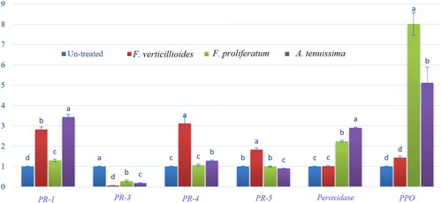 Figure 5. Effects of EM product on the expression levels of PR-1, chitinase/PR-3, PR-4, PR-5, peroxidase and PPO genes compared to housekeeping gene (reference gene/ß-actin). Relative expression of control and three EM-treated fungi (F. verticillioides, F. proliferatum, and A. tenuissima). Data are means of three replicates ± SD and different letters on columns indicate statistically significant variations at LSD ≤ 0.05.