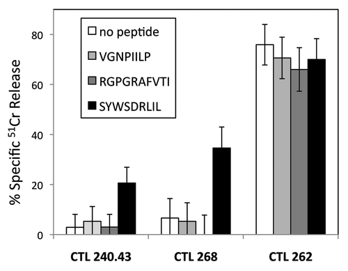 Figure 4. Kd-restricted Stat6−/− CTL recognize a peptide derived from the STAT6 protein. Stat6−/− anti-BALB/c CTL 240.43 (left) or Stat6−/− anti-Stat4−/− CTL 268 (middle) were incubated with Stat6−/− CAB target cells at an effector:target cell ratio of 12:1 in a standard 51Cr release assay. Cytotoxicity was assessed in the absence or presence of 9-mer peptides from H-2Kd binding peptides from HIV gp160 (RGPGRAFVTI, VGNPIILP), or STAT6 (SYWSDRLIL). The alloreactive B10 (H2b) anti-BALB/c (H2d) CTL 262 (right) did not require peptide for lysis and was not affected by target cell incubation with peptides. Data are the mean ± SD of triplicate assays and are representative of three or more experiments.