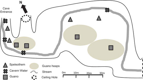 Figure 2. Layout of the first 100 m of Madai Cave with sampling sites