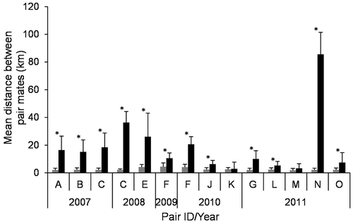 Figure 3. Comparison of the mean (± standard deviation) distance between Arctic fox pair mates when they were both inside (grey bars) and outside (black bars) of the boundaries of their summer home range. Each pair is identified by a capital letter. Data come from 12 Arctic fox pairs tracked during winter (2007–2011) in the Canadian High Arctic, including pairs C and F that were tracked for two years each, for a total of 14 pair-years. Distances inside and outside the home range were significantly higher for 12 pair-years (asterisks), and not significantly different for two pair-years, as determined through randomization t-tests.