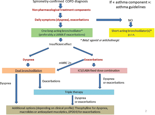 Figure 3. Propositions of the French-Language Respiratory Society for COPD pharmacological treatment. Adapted from (Citation22) with permission.