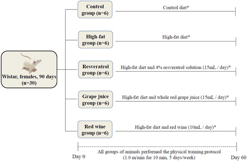 Figure 1. Experimental protocol. Diets and beverages were administered during a period of 60 days. Day 0: Division of groups and start of the experimental protocol; Day 60: Last day of the experimental protocol; *diets and water offered ad libitum.