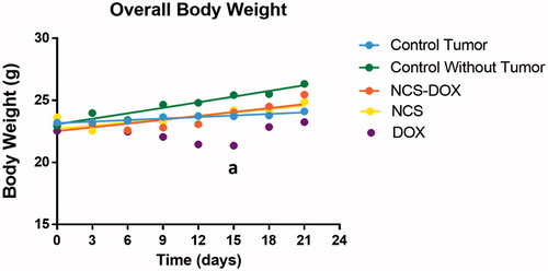 Figure 5. Graphs represent weight alteration in mice treated with free doxorubicin (DOX), nanocapsules containing selol and doxorubicin (NCS-DOX), nanocapsules of selol (NCS), control group with and without tumour (vehicle only, which consisted of an aqueous solution of glucose 5% w:v).during the experiments. Data are expressed as mean ± standard error of the mean. n = 6 mice per group. a = p < .05 versus all other treatments.