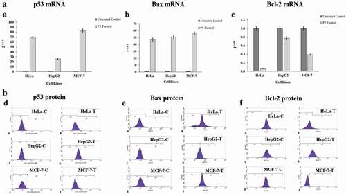 Figure 5. (a). Expression patterns of the p53, Bax and Bcl-2 mRNA in response to P5 treatment. (b). Expression patterns of the p53, Bax and Bcl-2 proteins in response to P5 treatment. C-control and T- P5 treated