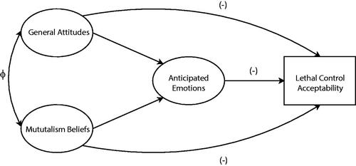 Figure 1. Hypothesized structural relationships among general attitudes toward deer, mutualism wildlife beliefs, scenario-specific anticipated emotions, and scenario-specific lethal control acceptability. Φ: covariance between latent variables.
