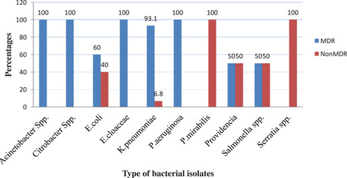 Figure 2 MDR profile among bacterial isolates from intensive care units.