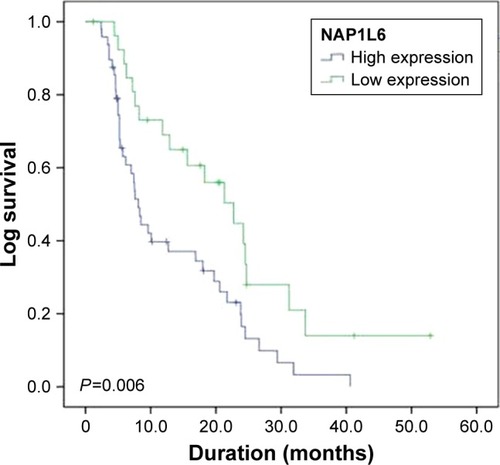 Figure 2 Kaplan–Meier survival curves of patients with prostate cancer based on NAP1L6 expression conditions. Patients in the high expression group exhibited significantly poorer prognosis (P=0.006, log-rank test).