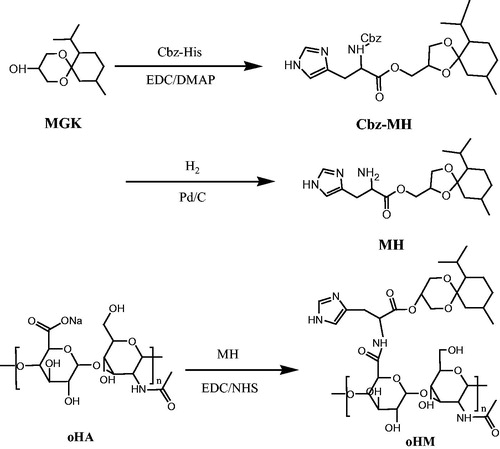 Figure 2. Synthesis of multifunctional oHM.