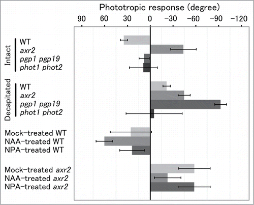 Figure 2. Phototropic responses of intact or decapitated inflorescences or inflorescences treated with NAA or NPA. Phototropic curvature was induced by unilateral blue-light irradiation at 53 μmol s−1 m−2 for 24 hr. Ninety degrees indicates the direction of the blue-light source, and 0 degrees indicates vertically upward. When inflorescences exhibited circumnutation, the value indicated is a mean of angles observed in one period. phot1 phot2 is a double mutant of phototropins. Data are reconstituted from those in Sato et al.Citation8