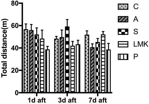 Figure 2 Motor dysfunctions was not evident in each group in open field. Total distance travelled of each group during monitoring in an open field box, n = 8 per group.