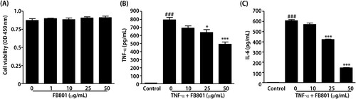 Figure 5. FB801 inhibits the inflammatory responses in tumor necrosis factor (TNF)-α-treated keratinocytes. (A) HaCaT cells were incubated with indicated concentrations of FB801 for 24 h, and cell viability was determined by Cell Counting Kit-8. HaCaT cells were pretreated with indicated concentrations of FB801 for 4 h and stimulated with TNF-α (10 ng/mL) for another 24 h. TNF-α (B) and interleukin-6 (C) levels were measured using culture supernatants by enzyme-linked immunosorbent assay. The values shown represent the mean ± SEM. *P < 0.05, ***P < 0.001, versus TNF-α-treated cells; ###P < 0.001 versus non-treated control cells.
