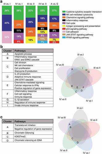 Figure 2. KEGG/Gene ontology pathway enrichment analyses of deregulated genes from stage-wise comparison. Differentially expressed genes from stage-wise comparisons were analyzed using the DAVID platform to identify functional pathways enrichment in stage III or IV compared to stage I or II, and in advanced stage (A: III and IV) vs. early stage (E: I and II). Charts showing significantly downregulated KEGG pathways enriched in each comparison with percentage of the number of enriched genes for each pathway to the total number of genes (a). Venn diagrams showing the shared pathway and the pathway lists which were enriched in the downregulated genes (b) and upregulated genes (c). The alphabets in the Venn diagrams represent the shared gene ontology clusters listed in the tables.