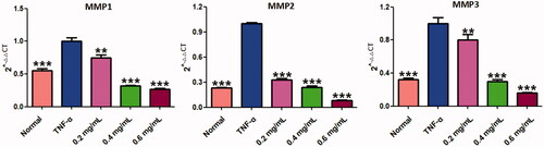 Figure 10. ACR suppresses the expression of MMPs. The mRNA levels of MMP-1, -2 and -3 were determined by using Quantitative real-time PCR (q-PCR). Data are expressed as mean ± SD (n = 3), **p < 0.01, ***p < 0.001, vs. TNF-α group. ACR: an aqueous extract of Cinnamomi ramulus.