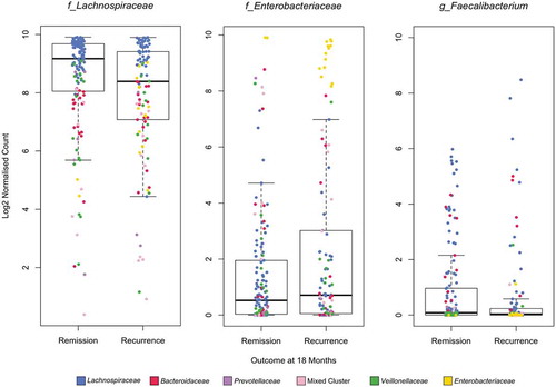 Figure 5. Cumulative Sum Scaled (CSS) normalized Log2 relative count derived from all samples (0,6,12 and 18 months) for Lachnospiraceae, Enterobacteriaceae (family level), and Faecalibacterium (genus level) by outcome at 18 months. Individual samples are colored by cluster assignment as per legend and figure 4A.