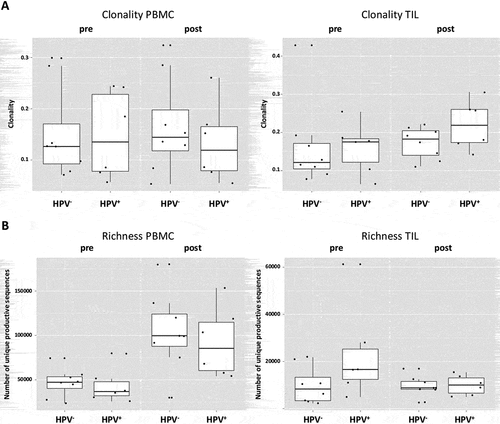 Figure 3. HPV+ and HPV− patients demonstrate similar TCR richness and clonality. (a) HPV+ and HPV− demonstrate comparable clonality frequencies for PBMC at baseline (p = 0.75) or post-treatment (p = 0.67), as well as in TIL (p = 0.75 and 0.28 for pre- and post-treatment). (b) In PBMC, the HPV+ and HPV− patients manifest no significant difference in TCR richness at both baseline and post-treatment (p = 0.66), similar results account for the richness In TIL at both baseline (p = 0.11) and post-treatment (p = 0.85)