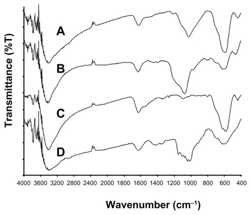 Figure 2 Fourier transform infrared spectra of SPIO@SiO2-NH2 (A), SPIO@SiO2 (B), bare SPIO (C), and SPIO@dextran (D) nanoparticles.Notes: The broad absorption band at 1050 cm−1 originates from the vibrations of Si-O-Si network. The complex absorption band in the region of 1200–1000 cm−1 indicates the dextran coating.Abbreviations: SPIO, superparamagnetic iron oxide; SPIO@SiO2-NH2, aminosilane-coated SPIO nanoparticles; SPIO@SiO2, SiO2-coated SPIO nanoparticles; SPIO@ dextran, dextran-coated SPIO nanoparticles.
