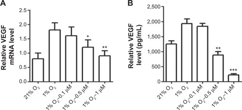 Figure 3 Andro decreased HIF-1 target protein VEGF and its mRNA expression.