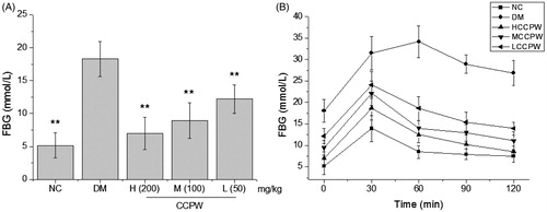 Figure 2. Effects of CCPW on FBG and OGTT of diabetic rats. (A) Effect of CCPW on FBG of diabetic rats; (B) effects of CCPW on OGTT of diabetic rats. **p < 0.01 versus the DM group.