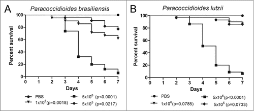 Figure 1. Survival curves of G. mellonella infected with P. brasiliensis (A) and P. lutzii (B) at different concentrations; PBS-infected larvae were used as controls and statistical significance (p < 0.05) is relative to the PBS control.