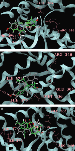 Figure 3.  (A) Docked pose of most active compound 7 (green) and least active compound 21 (grey) in the phenylquinoline series with ERβ. Only key residues (pink), of the ERβ binding site are shown for simplicity. (B) Docked pose of most active compound 28 (green) and least active compound 7 (grey) in the tetrahydrofluorenone series with ERβ. Only key residues (pink), of the ERβ binding site are shown for simplicity. (C) Docked pose of most active compound 23 (green) and least active compound 7 (grey) in the tetrahydrofluorenone series with ERβ. Only key residues (pink), of the ERβ binding site are shown for simplicity.