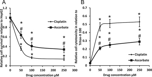 Figure 7. Effect of 50, 100 and 250 μM sodium ascorbate and cisplatin on HepG2 cell survival (A) and HepG2 cell cytotoxicity (B). *Significant difference when compared with HepG2 cells at p < 0.05. #Significant difference when compared with cisplatin-treated HepG2 cells at p < .05.