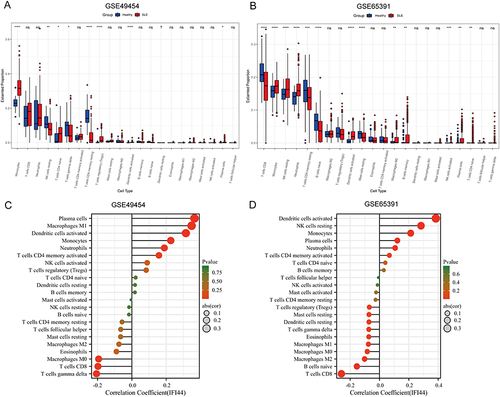 Figure 4 The relationship between diagnostic biomarkers and immune cell infiltration in SLE and healthy controls. Box plot of 22 types of immune cell infiltration in SLE and healthy controls in GSE49454 (A) and GSE65391 (B). The size of the dots represents the strength of the correlation between IFI44 expression and infiltrating immune cells in GSE49454 (C) and GSE65391 (D), with the color of the dots representing the corresponding P-values. Statistical significance was defined as P< 0.05.