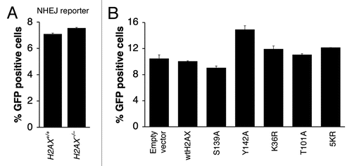 Figure 6 Effect of H2AX mutations on I-SceI-induced NHEJ. Percentage of I-SceI-induced GFP+ cells from H2AX+/+ and H2AX−/− NHEJ reporter mouse ES cells (A) or H2AX−/− HR reporter mouse ES cells transiently transfected with mammalian expression vectors encoding H2AX mutants as indicated in (B). Bars represent mean of triplicates. Error bars indicate s.e.m.