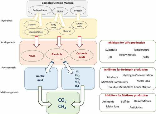 Figure 4. Hydrogen formation during AD. Red crosses show blocked pathways that lead to more hydrogen production. Inhibitors of each stage were shown in the right boxes.