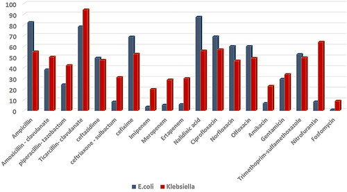 Figure 1 Comparison between antibiotic resistance pattern of E. coli and Klebsiella spp.