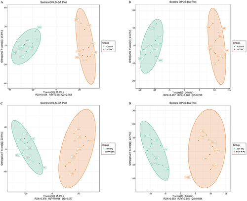 Figure 2 Scatter plot of scores based on the OPLS-DA model. (A) ESI+ scan between the control group and Pneumocystis-infected WT mice; (B) ESI− scan between the control group and Pneumocystis-infected WT mice; (C) ESI+ scan between the Pneumocystis-infected WT mice and Pneumocystis-infected BAFF-R–/– mice; (D) ESI− scan between the Pneumocystis-infected WT mice and Pneumocystis-infected BAFF-R–/– mice.