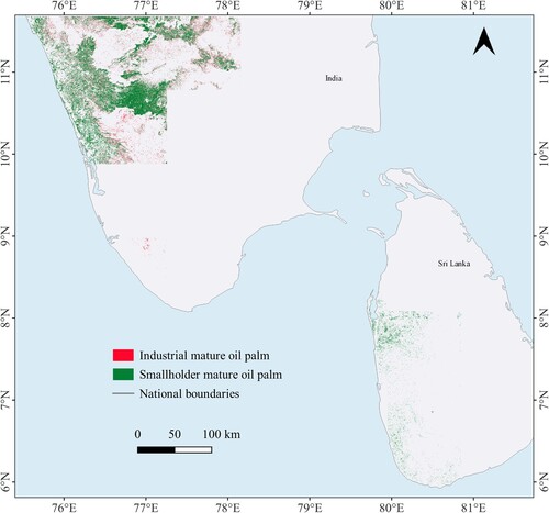 Figure 7. Spatial distribution map of oil palm subclasses in the South Asia.
