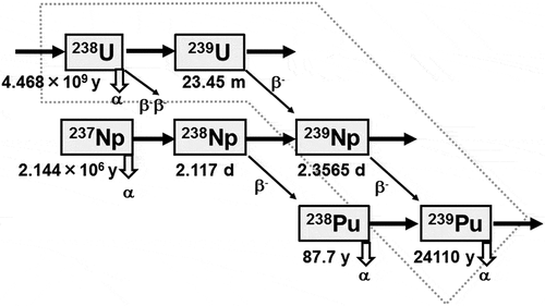 Figure 1. Partial section of the nuclear chart.