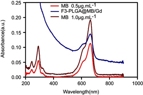 Figure S2 UV-visible spectrum of free MB and F3-PLGA@MB/Gd nanoparticles.Abbreviations: UV, ultraviolet spectrum; MB, methylene blue; PLGA, poly(lactide-co-glycolic acid); Gd, gadodiamide.