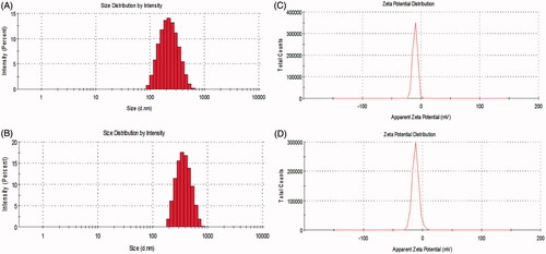 Figure 2. Representative particle size distribution and zeta potential of blank Zein nanoparticles (A, C) and peptide-loaded Zein nanoparticles (B, D), respectively.