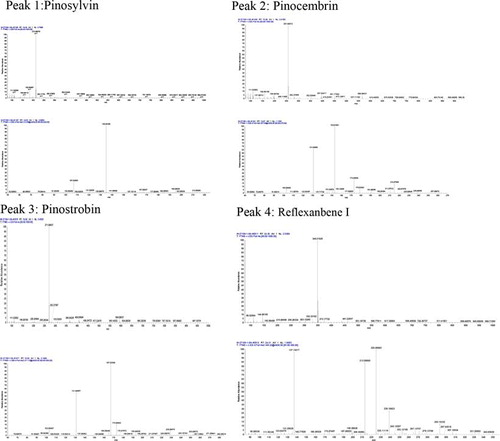 Figure 3. The mass spectrum of the compound separated from the sample of Lindera Reflexa Radix.