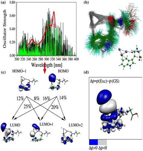 Figure 2. (a) Theoretically simulated thermally broadened absorption spectrum of [TrpGly·Ag3]+ at T = 300 K compared with experimental photofragmentation spectrum (red curve). The black and green sticks correspond to the statistical ensembles of spectra around the most stable isomers I and II, respectively. (b) Thermal ensemble of structures at T = 300 K obtained from constant temperature MD simulations. (c) The analysis of the leading excitations between occupied and virtual Kohn-Sham orbitals participating in the intense transition at 288 nm. HOMO and LUMO label the highest occupied and the lowest unoccupied Kohn-Sham orbitals. (d) Electron density difference between electronically excited state and the ground state at 288 nm corresponding to the dominant optically allowed transition. Source: Reproduced from Phys. Rev. Lett. 101, (2008) p.213001.