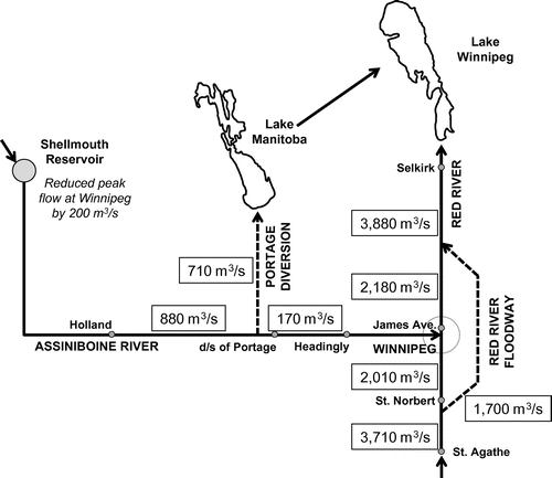 Figure 11. Theoretical routing of flow through the Lower Assiniboine and Red Rivers during the design flood, prior to 1997 improvements (adapted from Mudry, MacKay and Austford Citation1981).