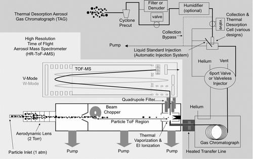 FIG. 1 Schematic of the combined thermal desorption aerosol gas chromatograph—aerosol mass spectrometer (TAG-AMS). TAG samples and AMS samples are alternately delivered to the high-resolution time-of-flight mass spectrometer. The TAG inlet delivers individual organic marker compounds and the AMS inlet delivers size-resolved fine aerosol that is separated into total organics, sulfate, nitrate, ammonium, and chloride fractions. Elemental ratios of O:C and H:C are attainable from both sample inlets using the high-resolution mass spectral capacity of the ToF-MS detector.