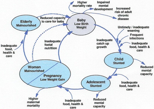Figure 1: Links between maternal and child health, nutrition and welfare