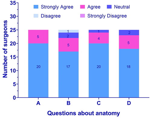 Figure 8. Responses to the questions regarding the quality of the anatomy in the application: (A) the anatomy of the skull shown in the VR-CMTT system application is accurate; (B) the blood vessels shown in the VR-CMTT system are accurate; (C) the 3D models resemble the real life anatomy realistically in their appearance; (D) it is necessary to have this aspect of anatomy interaction in the application.