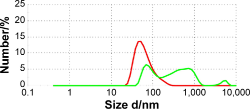 Figure S1 Aggregation assay.Notes: The size and the aggregation of gold nanoparticles were measured by dynamic light scattering assays. Data from freshly prepared gold nanoparticles conjugated with cmHsp70.1 antibody are shown in red. Upon storage for 4 weeks at 4°C peaks are visible with a size above 100 nm (green). These data show an increased aggregation of the nanoparticles during storage. For all cell-based experiments only freshly prepared nanoparticles with a single peak in the hydrodynamic diameter of ~40 nm were used. The graph shows a representative measurement of cmHsp70.1-coated gold nanoparticles either freshly prepared (red) or after 4 weeks of storage at 4°C (green).