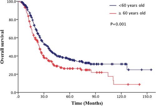 Figure 2 Comparison of overall survival (OS) of patients with limited-stage small cell lung cancer (LS-SCLC) between <60 years group and ≥60 years group.