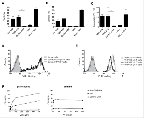 Figure 1. Characteristics of Vγ9Vδ2-T cell activating VHH. (A-C) Vγ9Vδ2-T cells were cultured with individual plate bound (wells coated with 500 nM) anti-Vγ9Vδ2-TCR VHH, control VHH R2, HeLa cells or NBP-pretreated HeLa cells in a 1:1 ratio. After 24 hrs, Vγ9Vδ2-T cell activation was determined by assessing the percentage of Vγ9Vδ2-T cells positive for (A) CD25, (B) CD107a, or (C) intracellular IFN-γ using flow cytometry. Shown are means substracted by background levels ± SEM of n = 3-5 experiments. p-Values were calculated with a one-way ANOVA and Bonferroni's post-hoc test. (* indicates p<0.05 and ** indicates p<0.01). (D) The anti-Vδ2 VHH 6H4 (40 nM) binds to Jurkat-Vγ9Vδ2-TCR cells (thick line), but not to Jurkat cells without TCR expression (filled grey) or Jurkat-Vα24Vβ11-TCR cells (dotted line). (E) The anti-Vδ2 VHH 6H4 (350 nM) binds to healthy donor-derived Vγ9+Vδ2+ (thick line) and Vγ9−Vδ2+ γδ-T cells but not to Vγ9−Vδ2− (filled grey) or Vγ9+Vδ2− γδ-T cells (dotted line). (F) Vγ9Vδ2-T cells were cultured with plate bound or soluble monovalent VHH (filled squares), bivalent VHH (filled triangles) or control VHH R2 (open circles) at the indicated concentrations for 24 hrs. Expression of CD25 was assessed using flow cytometry. Representative figures of n = 3 experiments are shown. Abbreviations: aminobisphosphonates (NBP); Gly4Ser (GS).