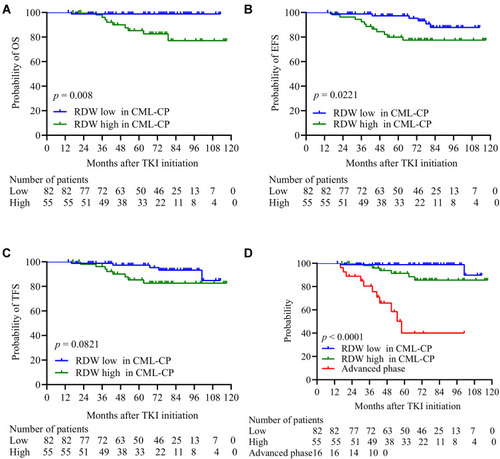 Figure 4 The relationship between CML-CP patients with low and high RDW values and their (A) OS, (B) EFS, and (C) TFS. (D) The death rates of patients with CML-CP in the low and high RDW groups, and those with advanced phase CML, respectively.
