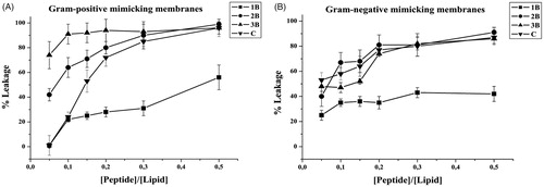 Figure 4. Peptide-promoted membrane leakage of compounds 1B, 3B, 2B, C in LUVs mimicking Gram-positive (A) and Gram-negative (B) membranes. The percentage of leakage is reported as a function of the peptide/lipid ratio and each trace represents an average of three independent experiments.