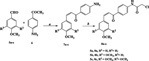 Scheme 2. Synthesis of chloroacetyl aminochalcone derivatives 8a–c.