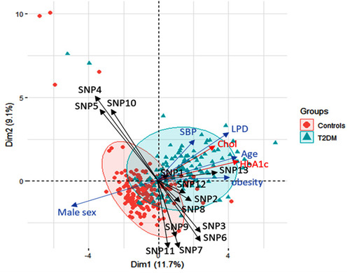 Figure 2 Principal Component analysis for data exploration. Data are plotted across axis 1 and 2, showing the variability of 11.7% and 9.1% of the data. Subjects are represented as circles (controls) or triangles (type 2 diabetic cohorts). Subjects close to each other had similar features to those dispersed apart. An oval ellipse was drawn around each group. Variables are indicated with arrow length, indicating the magnitude of strength, with a longer arrow indicating a greater influence of the factor. Genetic variants are shown in black arrows. Clinical data in blue while the red arrows represent the laboratory testing. All clinical and laboratory data were used in the plot, but fewer arrows with higher effects are only shown to avoid crowdedness. SNP1: GSTM1 rs1056806, SNP2: GSTT1 rs17856199, SNP3: GSTP1 rs1695, SNP4: MGST3 rs2065942, SNP5: SOD1 rs2234694, SNP6: SOD2 rs4880, SNP7: SOD3 rs2536512, SNP8: CAT rs7943316, SNP9: GPX1 rs1800668, SNP10: GPX3 rs3828599, SNP11: GPX4 rs713041, SNP12: NOS3 rs1799983, SNP13: NOS2 rs2297518.